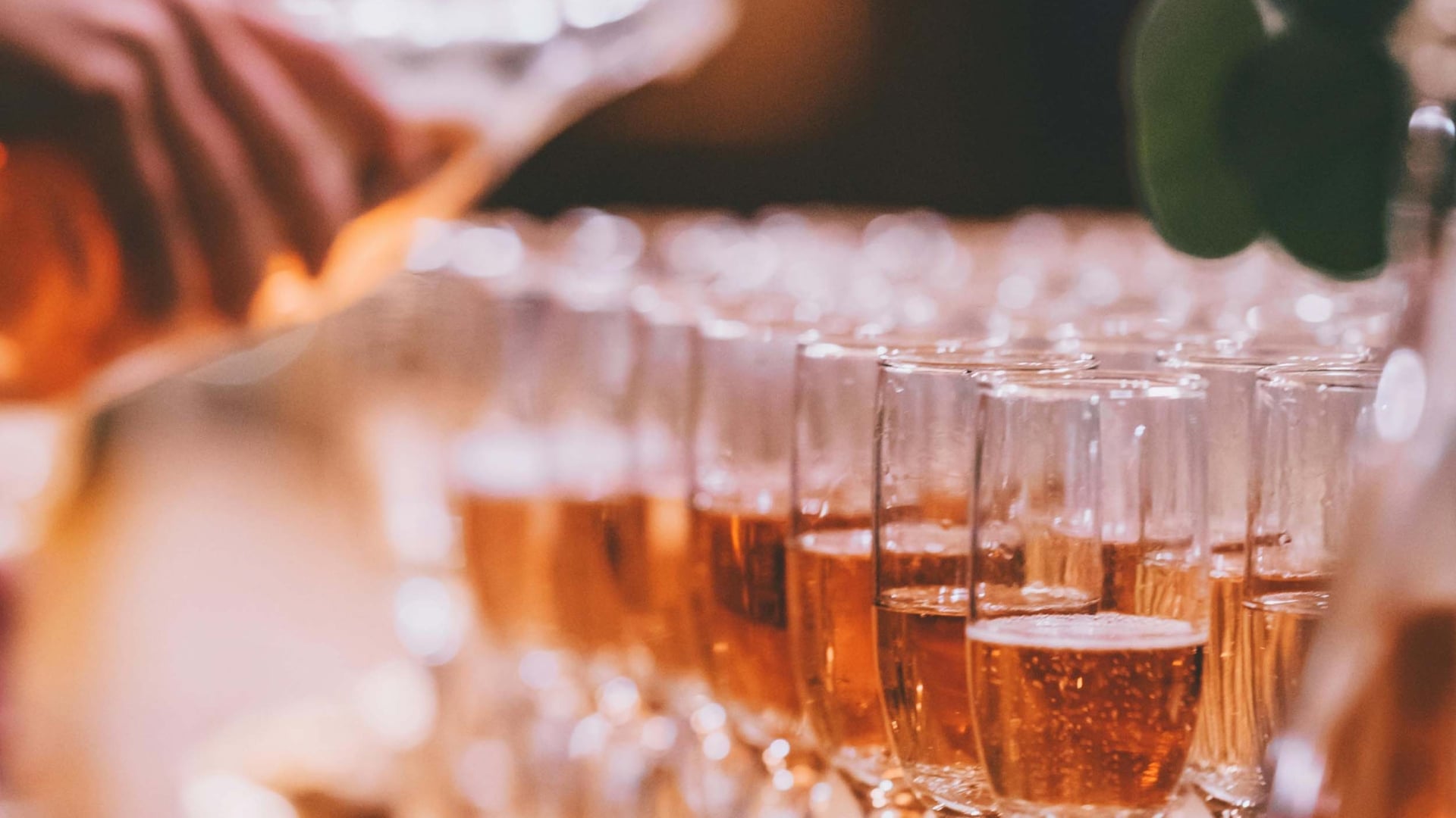 Rows of champagne flutes being filled at an event