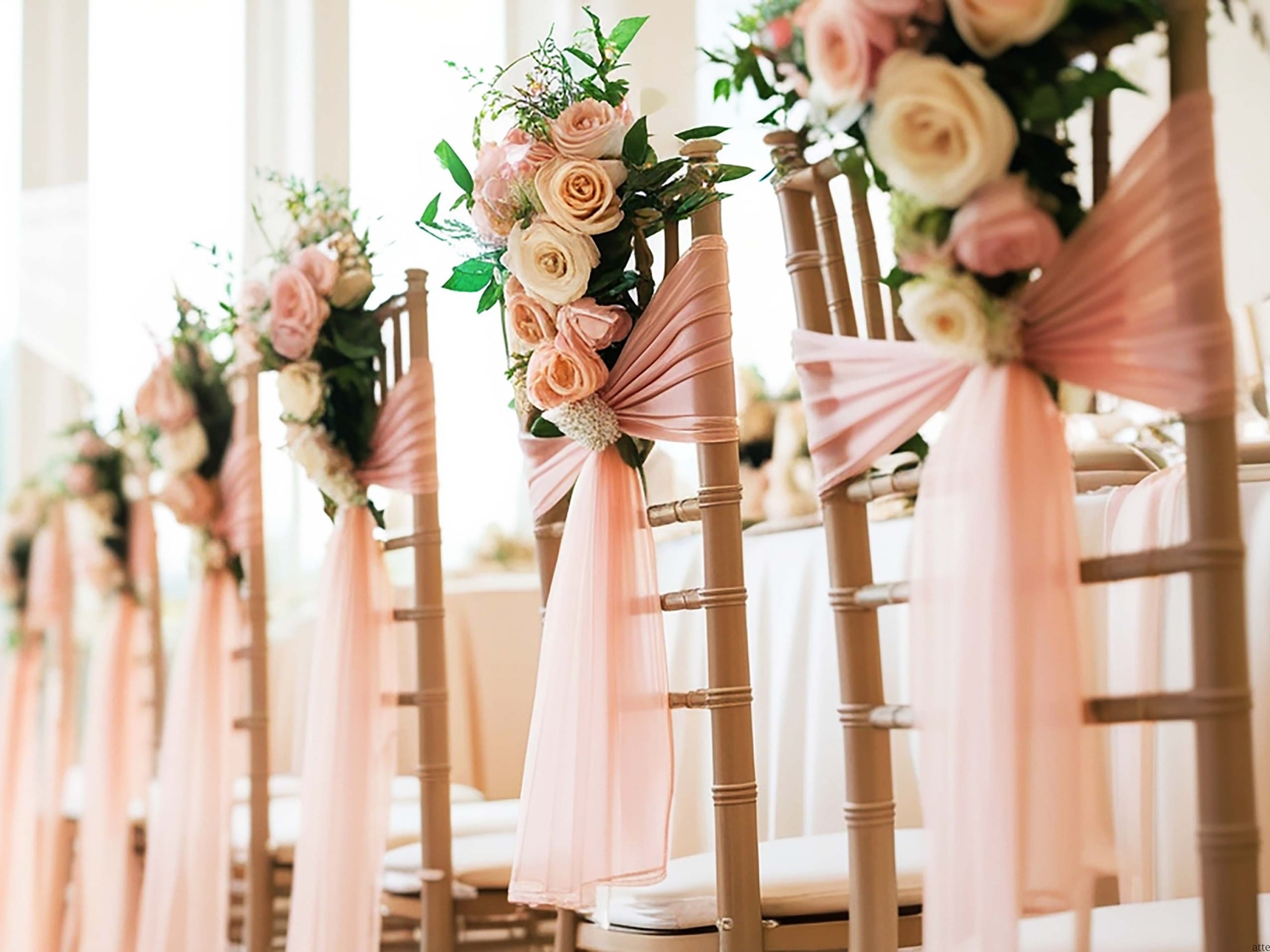 Row of wedding chairs adorned with blush pink roses, greenery, and pink fabric sashes along an aisle.